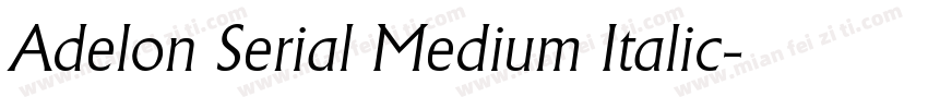 Adelon Serial Medium Italic字体转换
